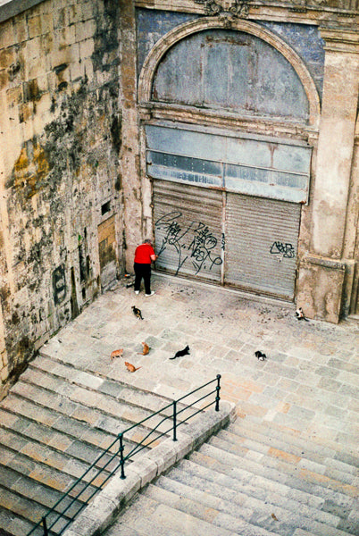 Agfa Colour 400 x24